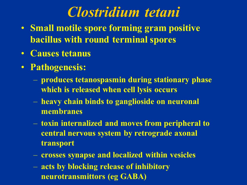 Clostridium tetani Small motile spore forming gram positive bacillus with round terminal spores Causes